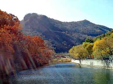 新澳天天开奖资料大全旅游团，上海双鹿冰箱维修